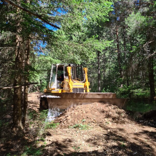 Rekonstrukcija ceste